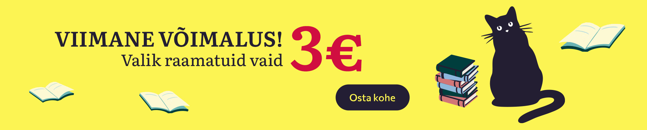 RRi kirjastuse raamatud 3€